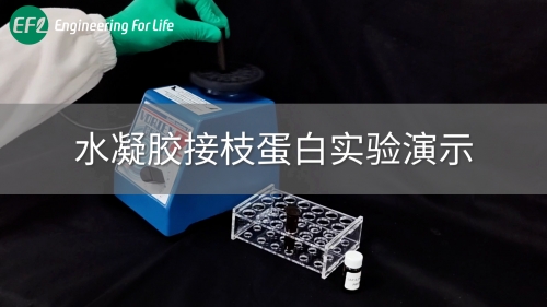 EFL-AC-PEG-NHS-2K實(shí)現(xiàn)水凝膠接枝蛋白實(shí)驗(yàn)演示