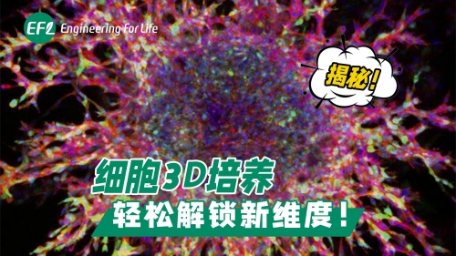 揭秘！細(xì)胞3D培養(yǎng)，輕松解鎖新維度！