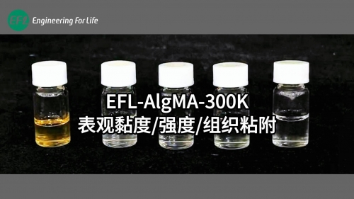 EFL-AlgMA-300K表觀黏度、強(qiáng)度、組織粘附性能展示