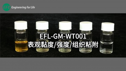 EFL-GM-WT001表觀黏度、強(qiáng)度、組織粘附性能展示