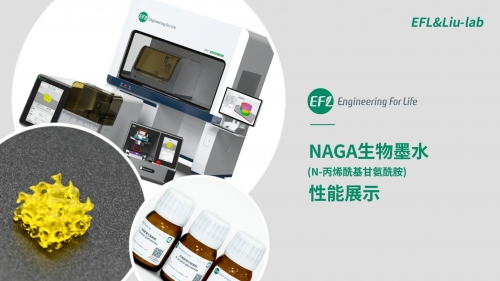 NAGA生物墨水性能展示