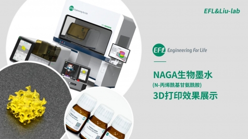 NAGA生物墨水3D打印效果展示