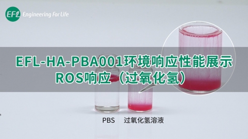 EFL-HA-PBA001環(huán)境響應(yīng)性能展示（ROS響應(yīng)）