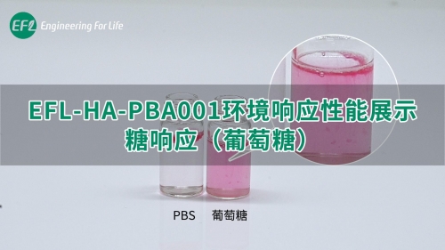 EFL-HA-PBA001環(huán)境響應(yīng)性能展示（糖響應(yīng)）