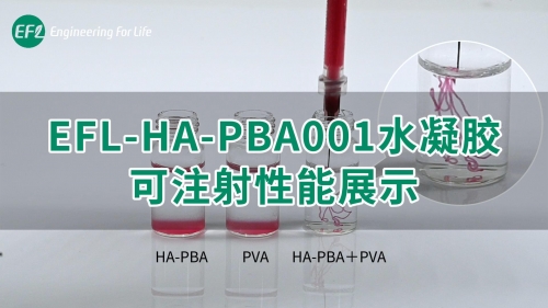EFL-HA-PBA001水凝膠可注射性能展示