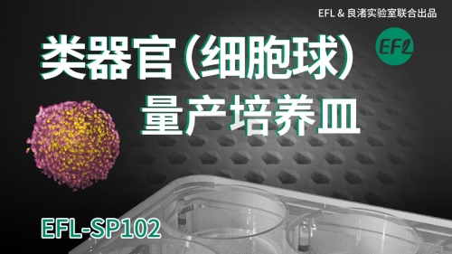 類器官（細胞球）量產(chǎn)培養(yǎng)皿