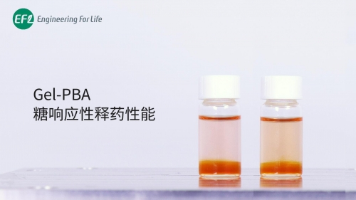 Gel-PBA 糖響應(yīng)性釋藥性能