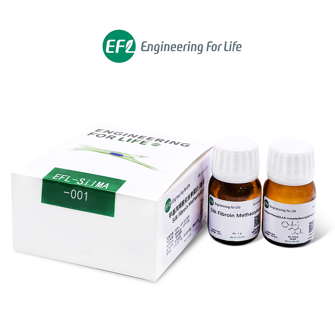 甲基丙烯?；z素蛋白（SilMA）