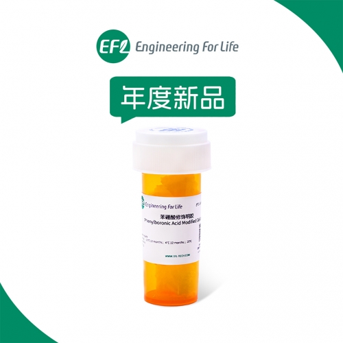苯硼酸修飾明膠（Gel-PBA）