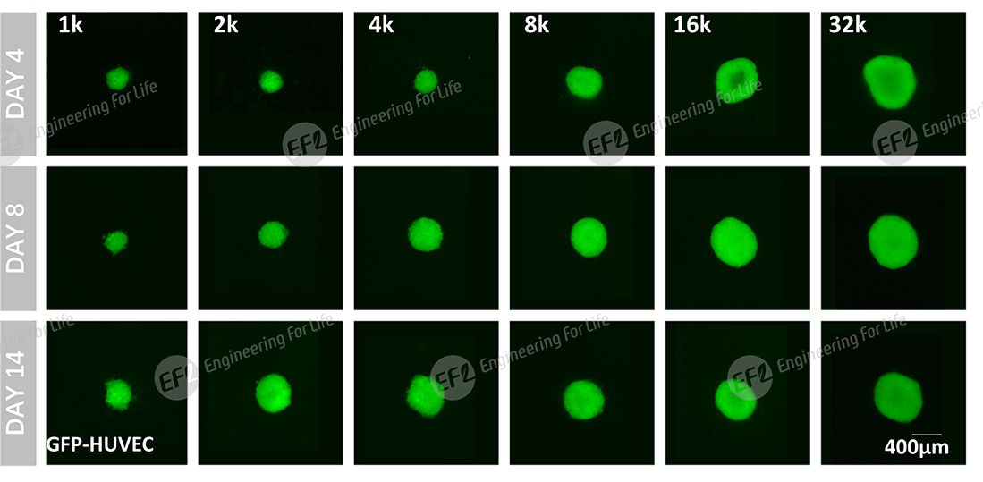 1739582322747828.jpg 圖片5.jpg