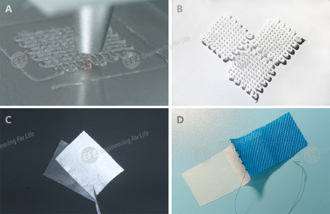 1739591004171632.png 圖2 成形效果.png