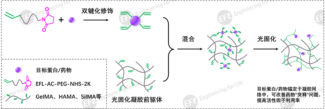 1739591825880533.png 圖片2.png