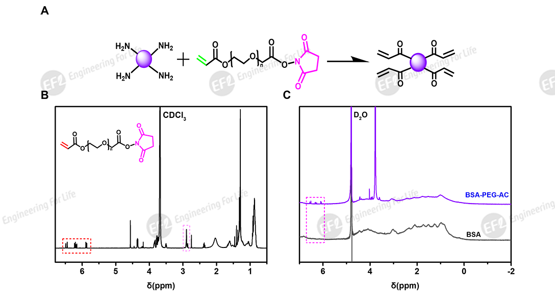 1739591873901122.png 圖片3.png