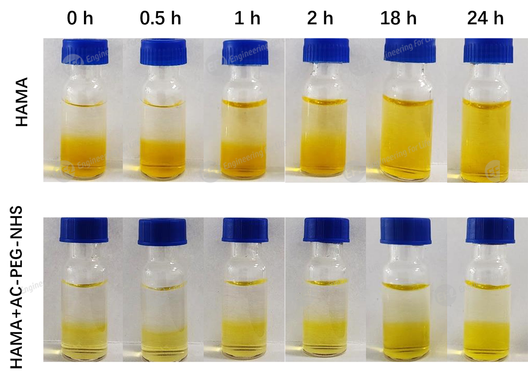 1739591943589210.png 圖片4.png