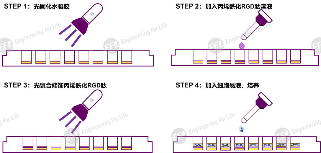 1739592425380286.png 圖片2.png