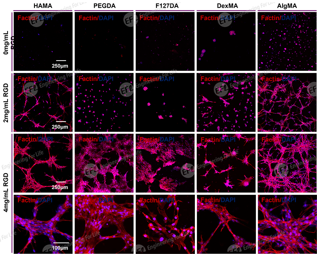 1739592507873964.png 圖片3.png