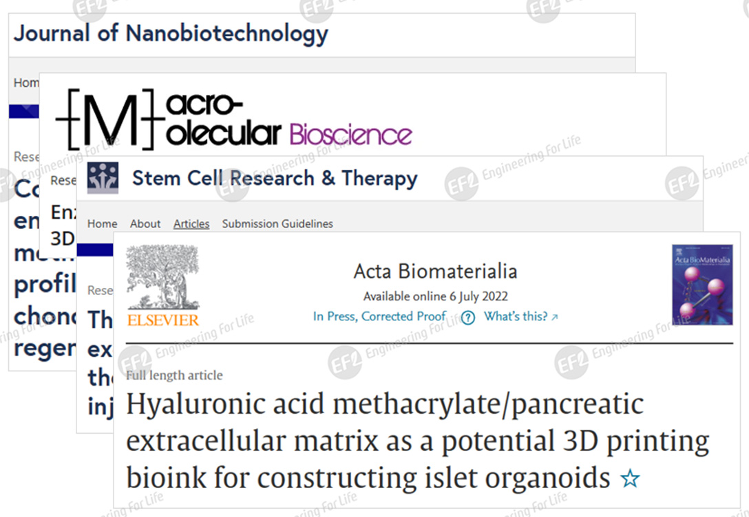 1739593242585931.jpg 圖片3.jpg