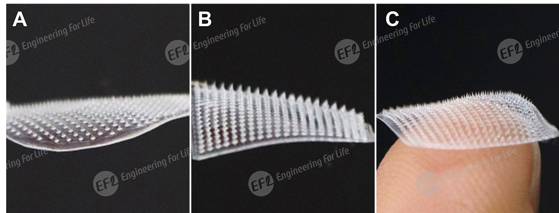 1743557282806706.jpg 圖片9.jpg