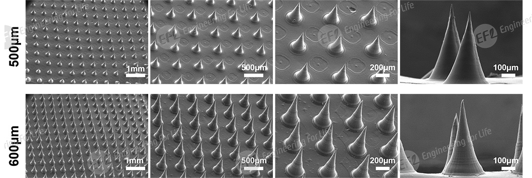 1743557311592932.jpg 圖片10.jpg