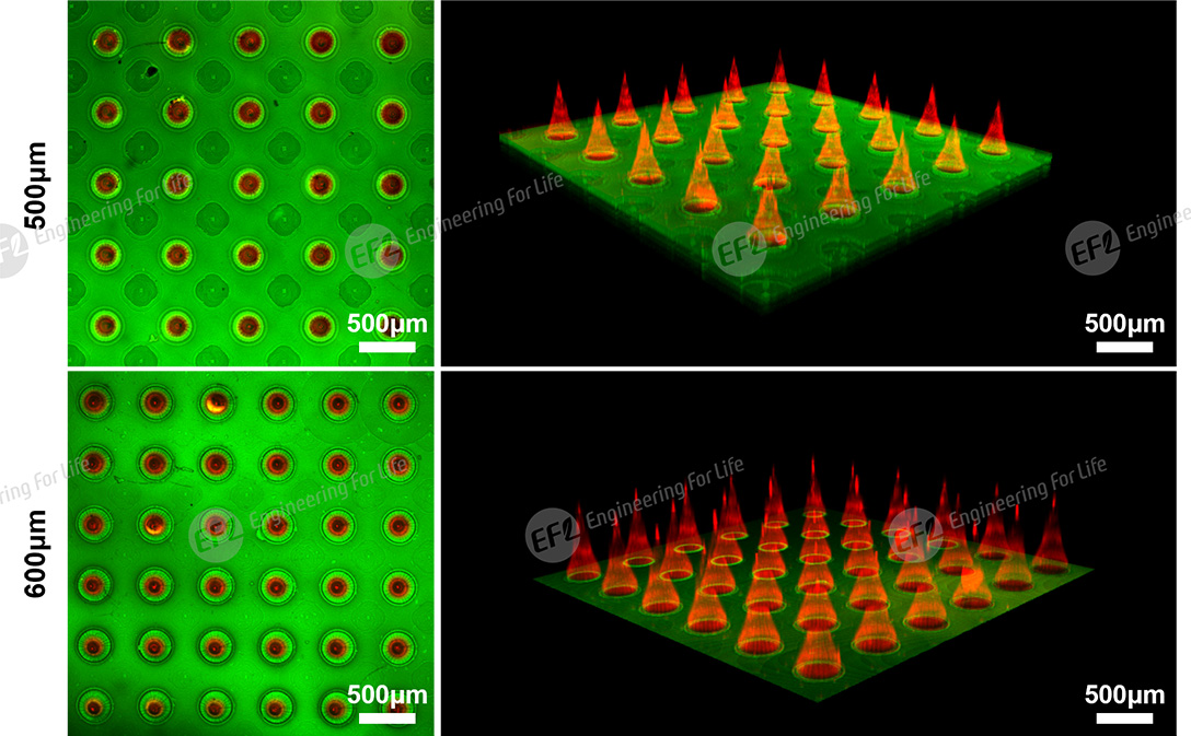 1743557334987074.jpg 圖片11.jpg