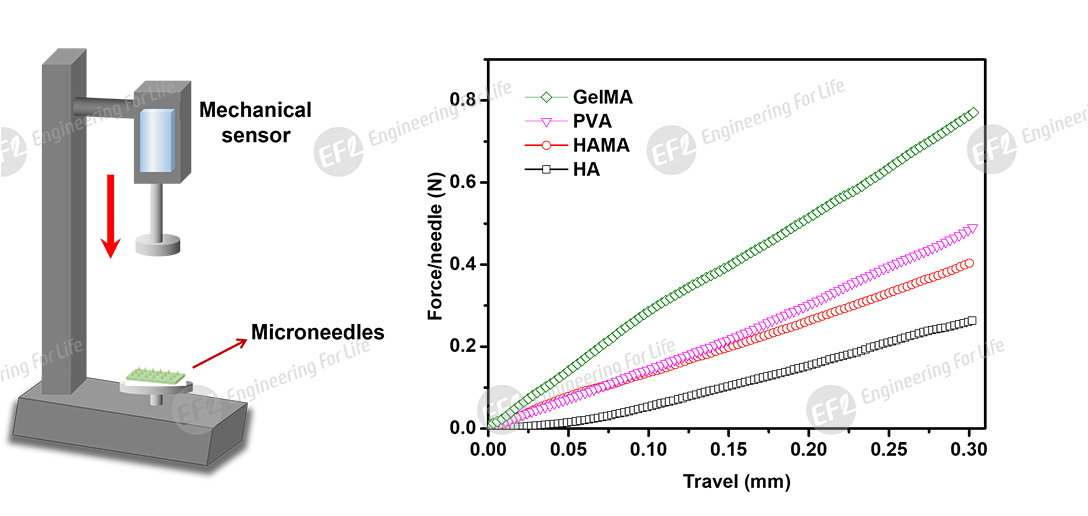 1743557352171228.jpg 圖片12.jpg