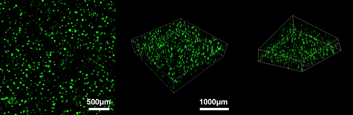 1755074360276512.gif 圖片6動圖.gif