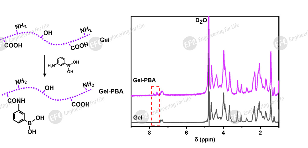 1756435411203047.jpg 圖片2.jpg