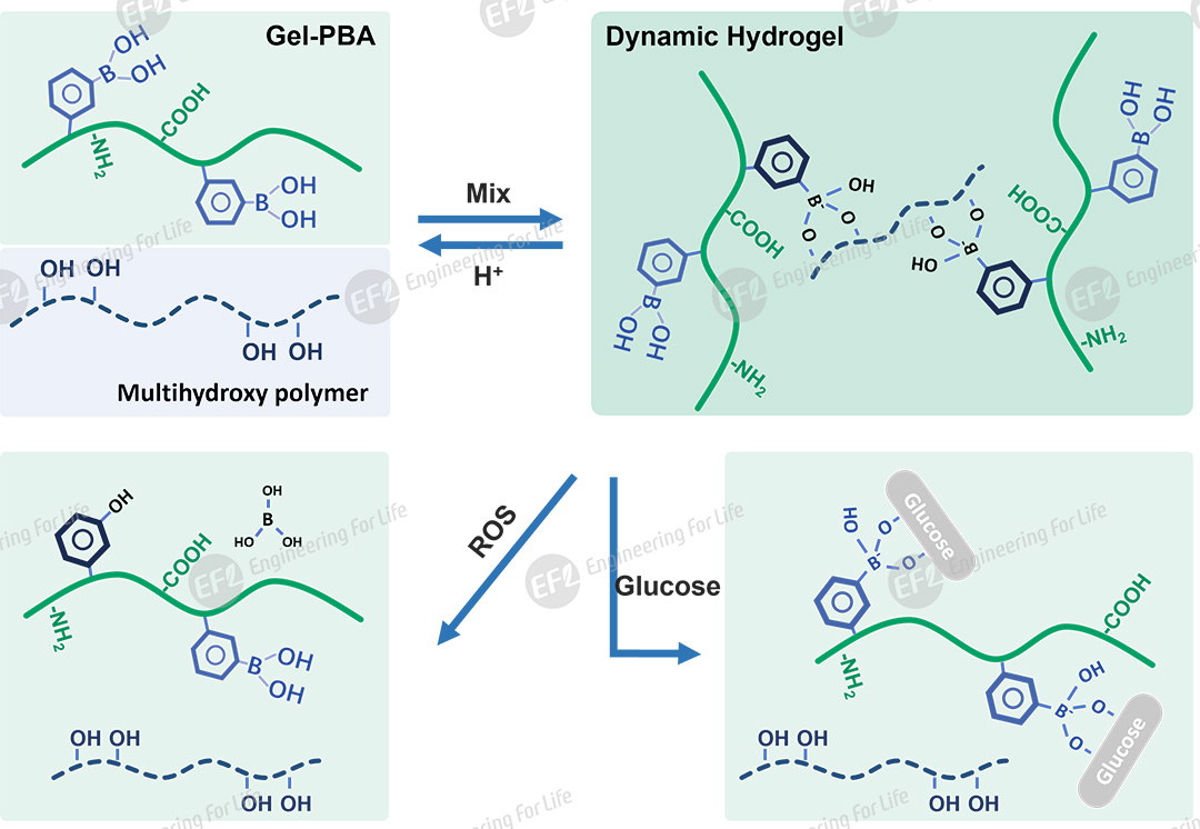 1756435537813929.jpg 圖片5.jpg