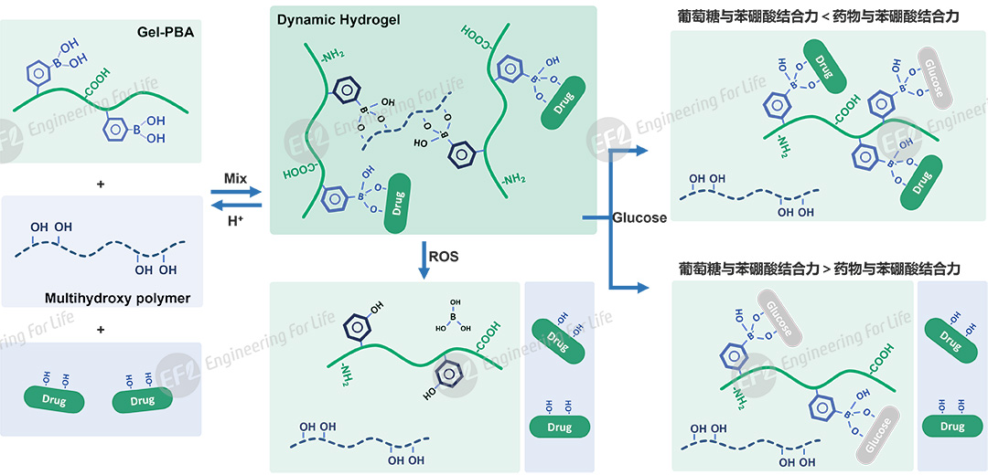 1756435577861705.jpg 圖片6.jpg