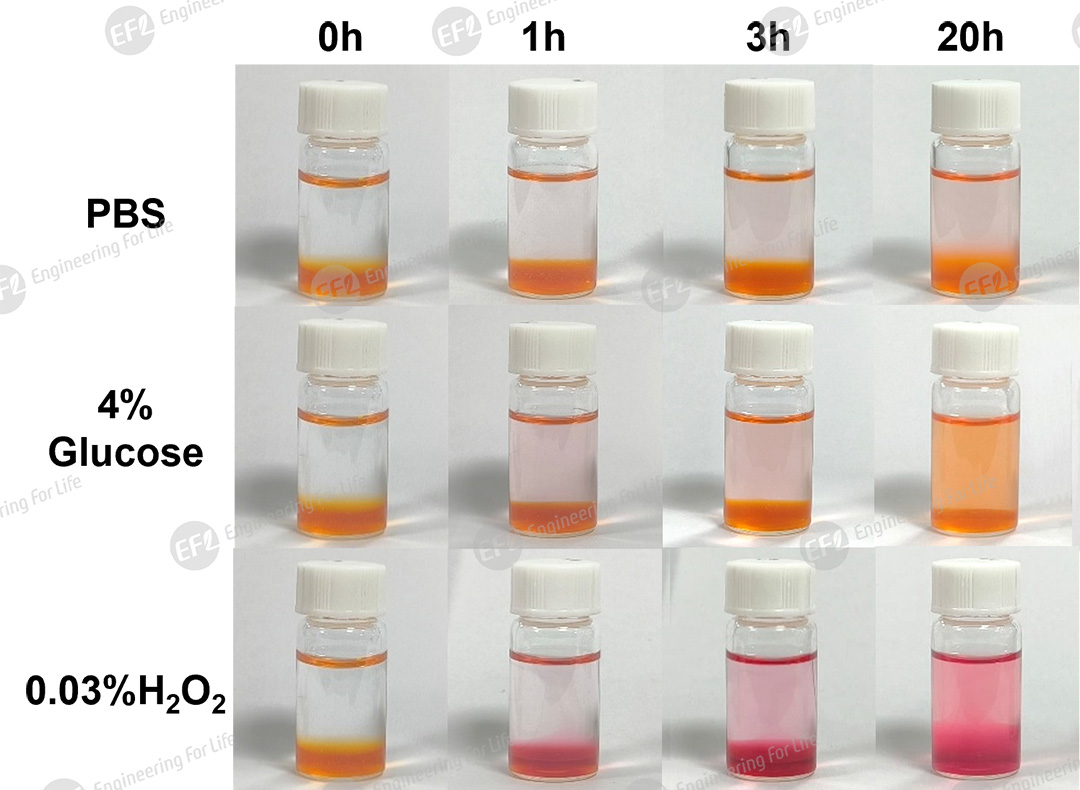 1756435685145257.jpg 圖片8-1.jpg