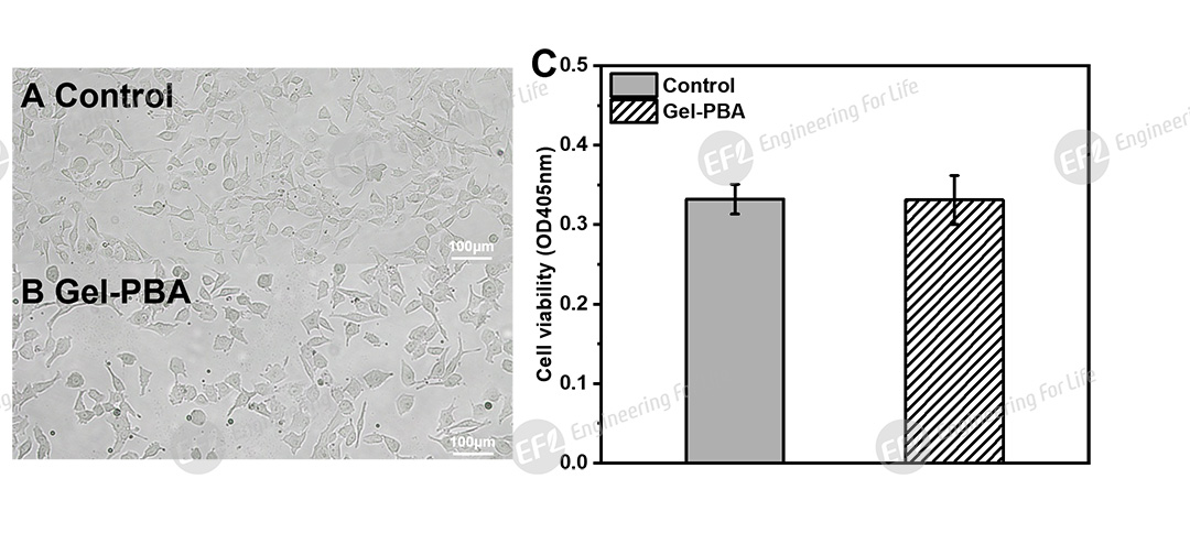 1756435710245640.jpg 圖片9.jpg