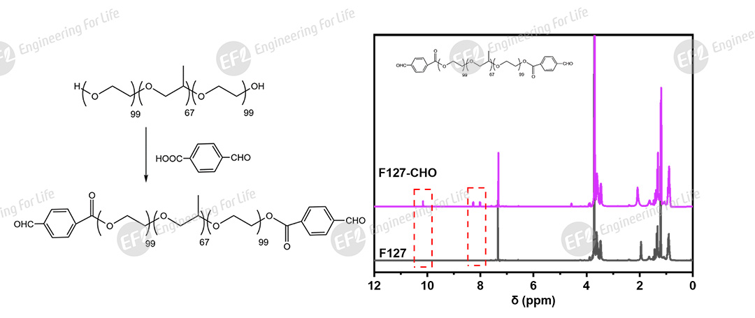 1760059293178759.jpg 圖片2.jpg