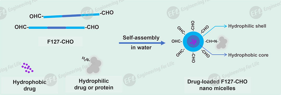 1760059333162394.jpg 圖片3.jpg