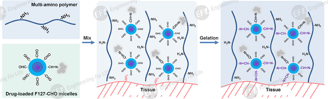 1760059385564518.jpg 圖片4.jpg