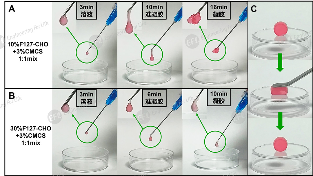 1760059426565217.jpg 圖片5.jpg