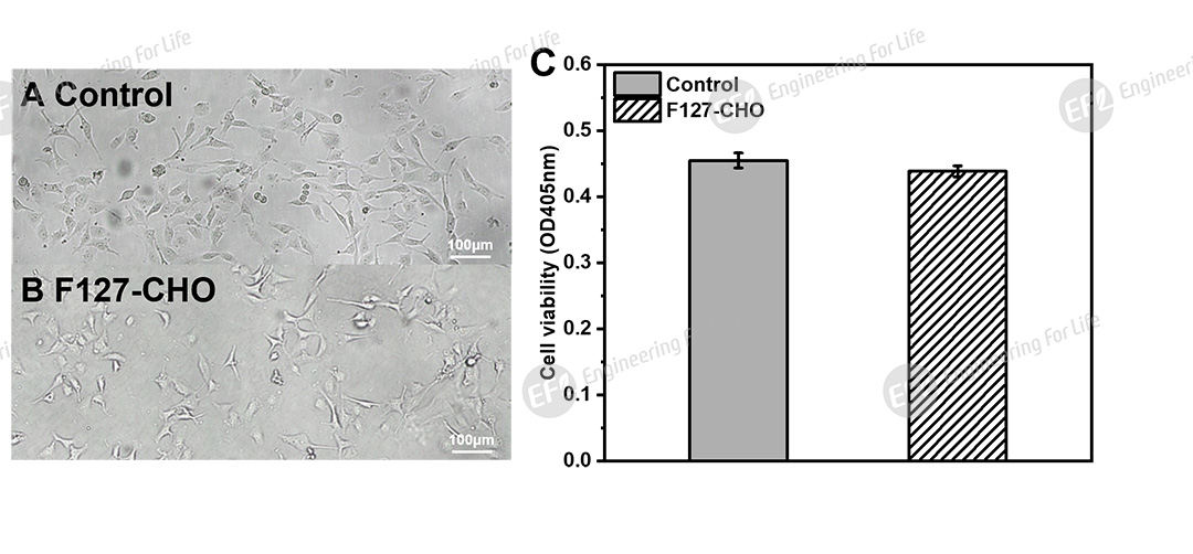 1760059484812997.jpg 圖片6.jpg