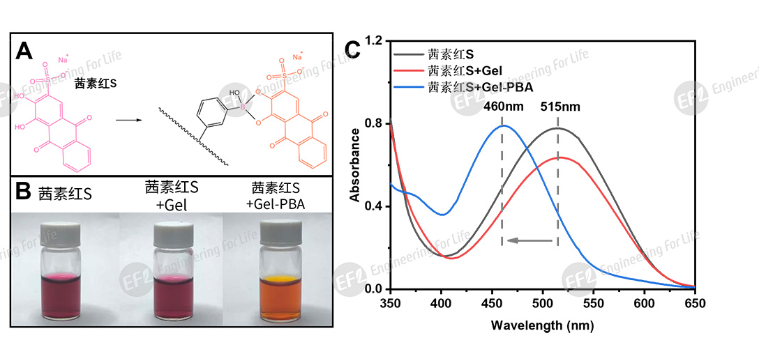 1760504995885700.jpg 圖片71088.jpg