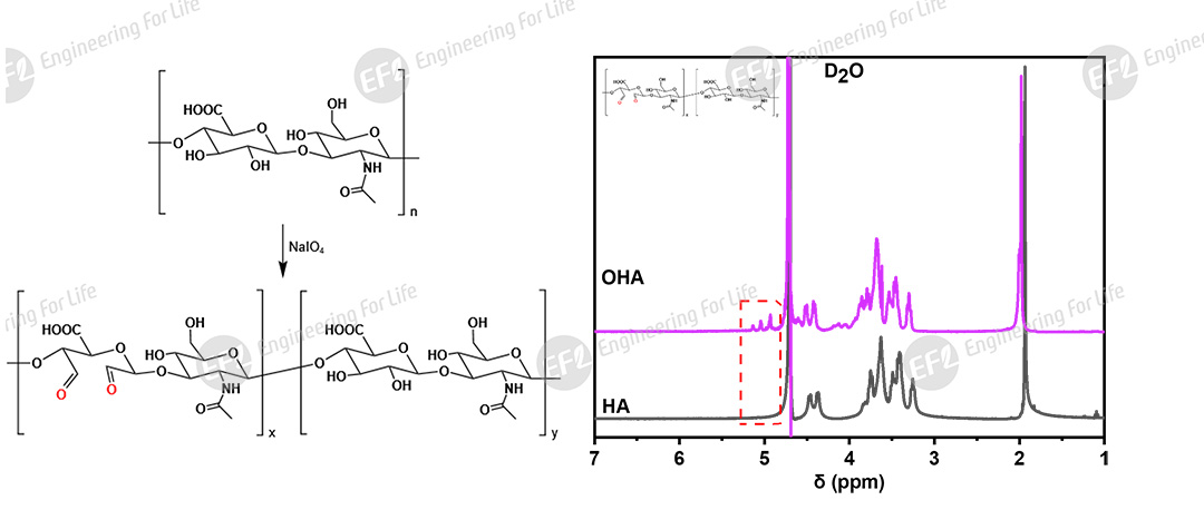 1761701640645314.jpg 圖片2.jpg