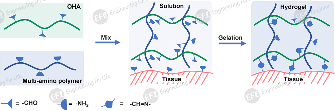 1761701667748671.jpg 圖片3.jpg