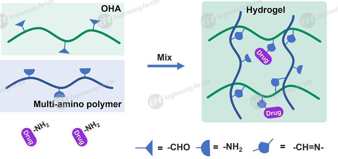 1761701747492940.jpg 圖片5.jpg