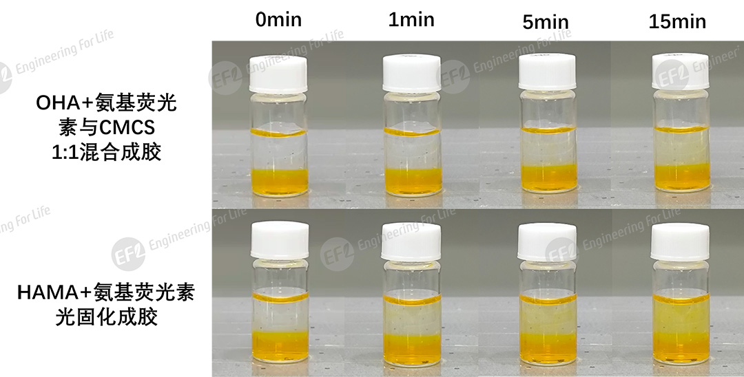 1761701784965592.jpg 圖片6.jpg
