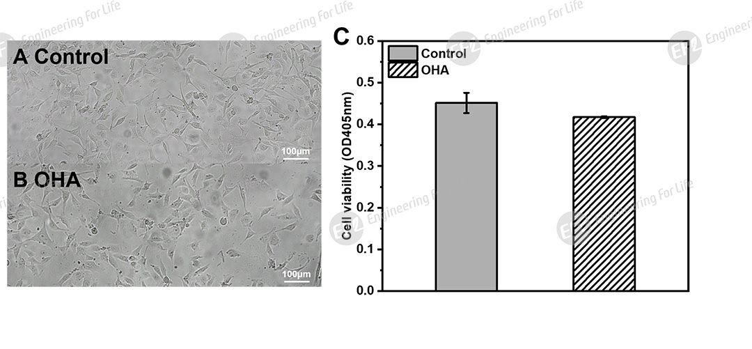 1761701807264450.jpg 圖片7.jpg