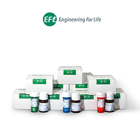 Fluorescent Gelatin Methacryloyl(Fluorescent GelMA)