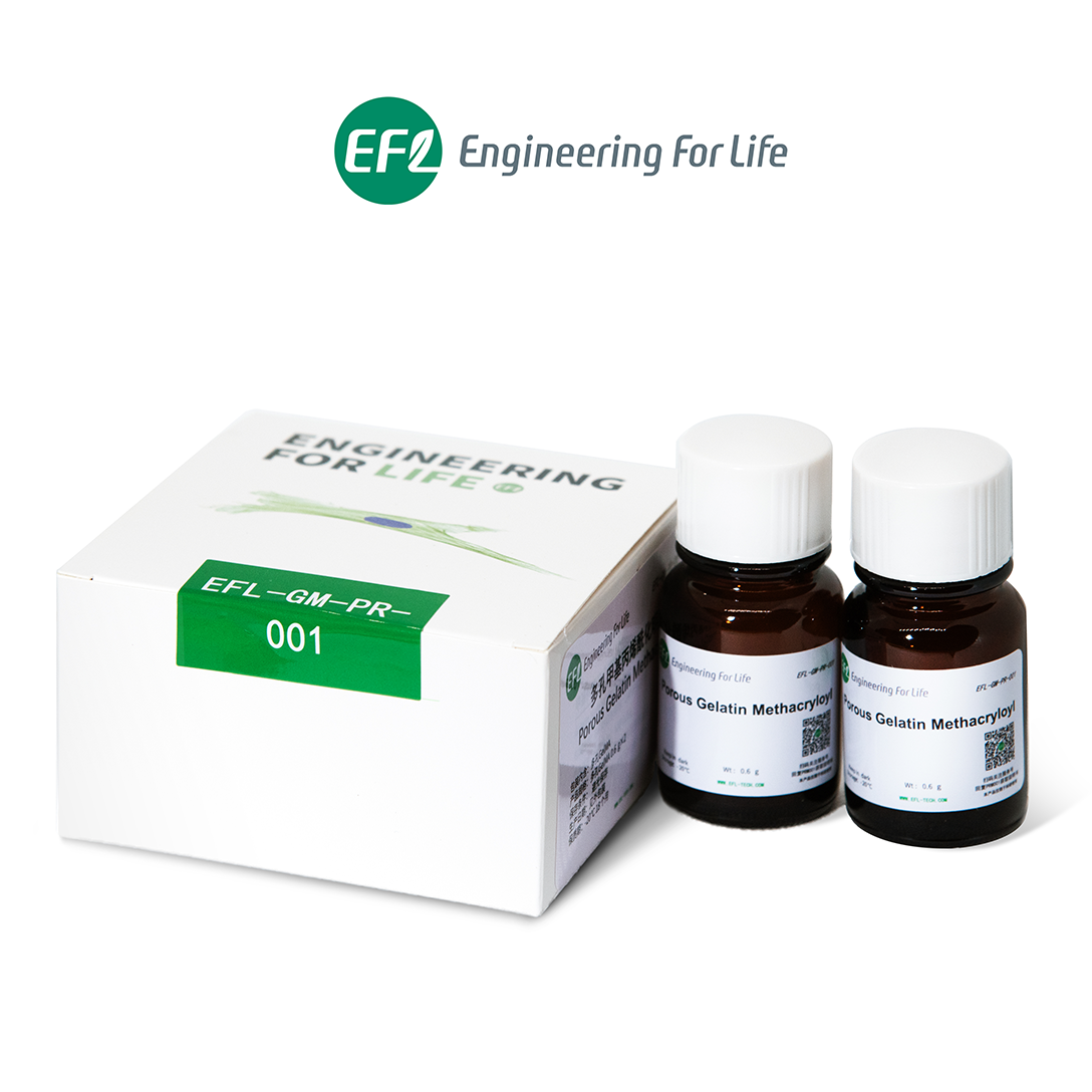 Porous Gelatin Methacryloyl(Porous GelMA)