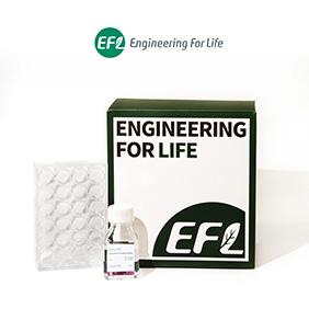 SpheroX? 24 kit-Ultra-Low Attachment Flat Bottom Plate 24 Well Kit