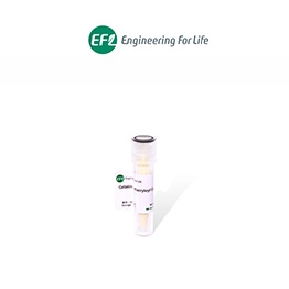 Gelatin Methacryloyl Crosslinked Microsphere