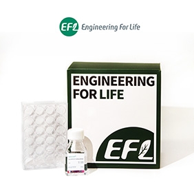 SpheroX? 24 kit-Ultra-Low Attachment Flat Bottom Plate 24 Well Kit