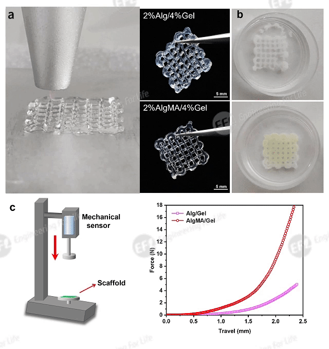 1747290994455806.gif 圖6.gif