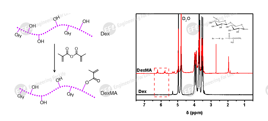 1747294568874292.png 圖片2.png