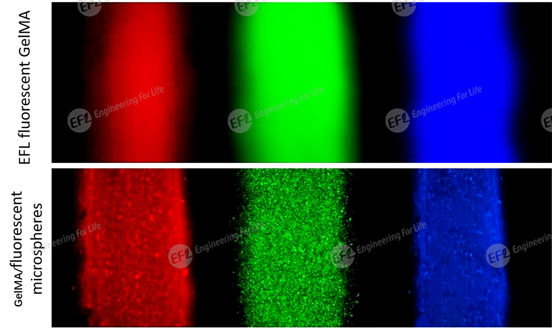 1747805492142220.png 圖片3.png